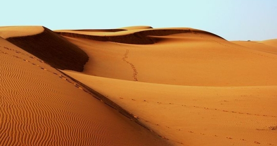 desert-1007157__480.jpg